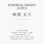 非遗合香手串古法天然药香手工制作文玩中药手串香珠五行中医养生玉兰星星暴富