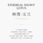 非遗合香手串古法天然药香手工制作文玩中药手串香珠五行中医养生玉兰白磨砂
